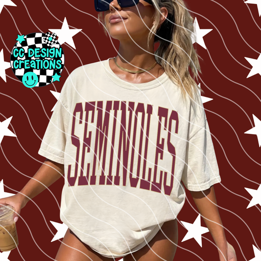 NOLES SKINNY VARSITY FOOTBALL PNG DIGITAL DOWNLOAD (REG + DIS INCLUDED)