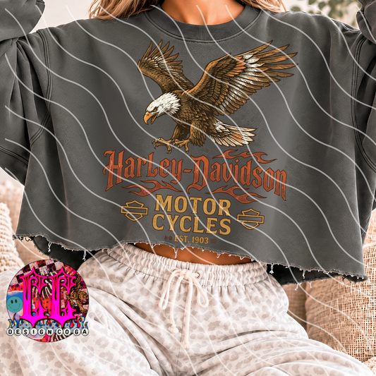 HD EAGLE PNG DIGITAL DOWNLOAD